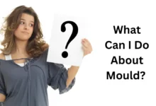 What Can I Do About Mould?