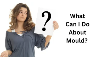 What Can I Do About Mould?
