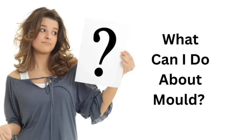 What Can I Do About Mould?
